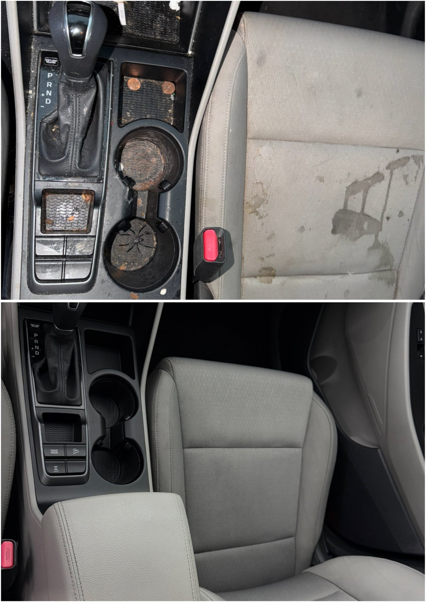 Complete Interior Detail