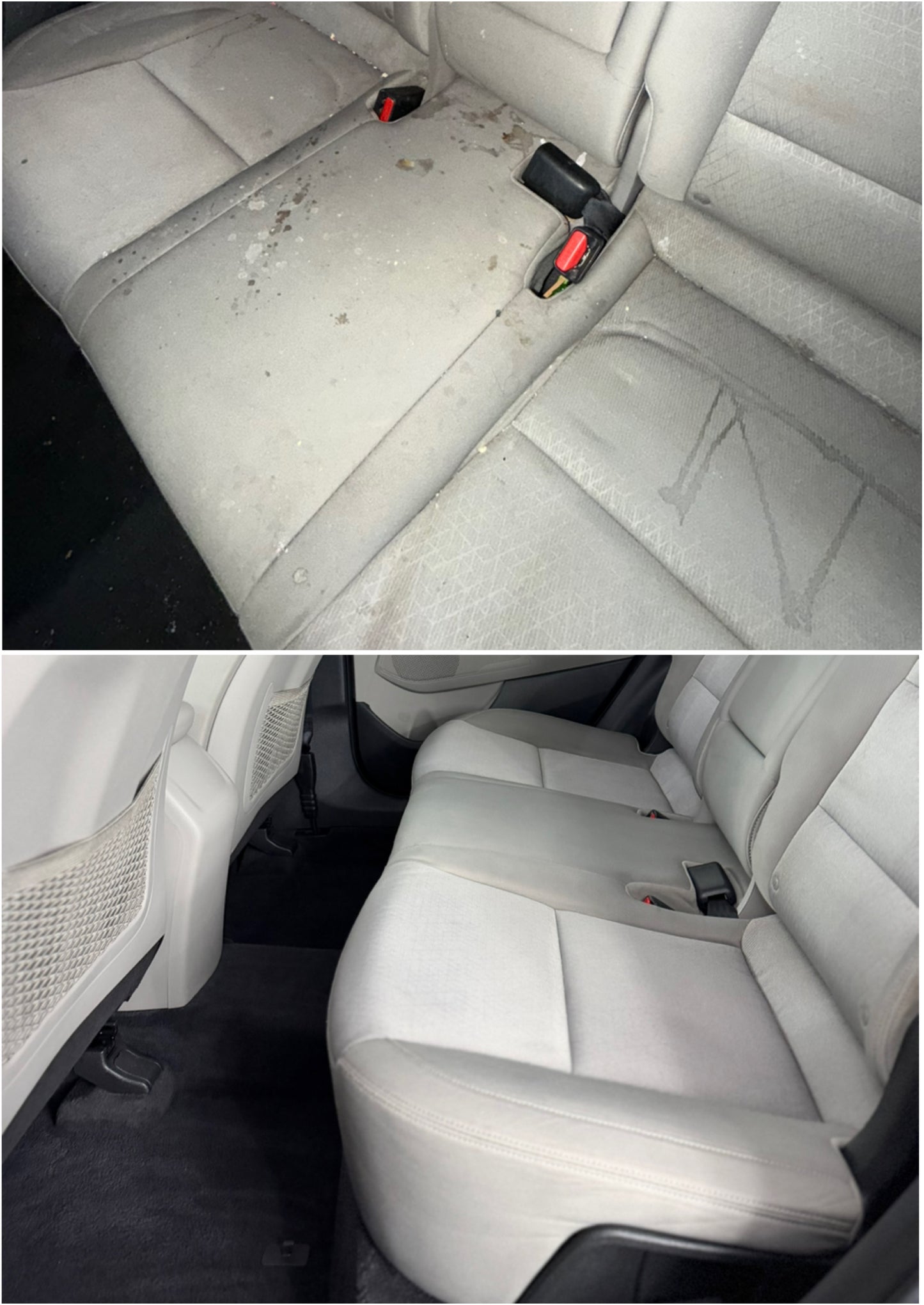 Complete Interior Detail